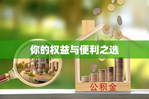 济宁你的权益与便利之选