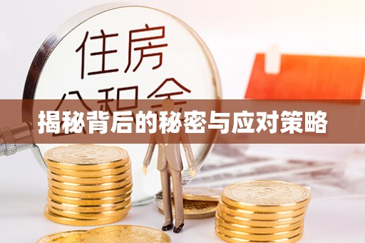 济宁揭秘背后的秘密与应对策略