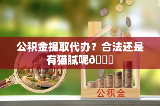 济宁公积金提取代办？合法还是有猫腻呢😏